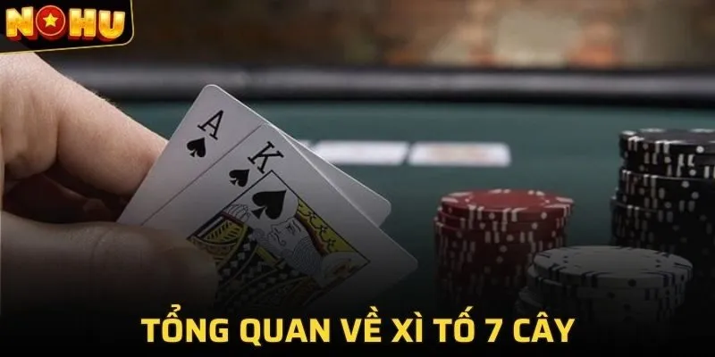 Tổng quan về xì tố 7 cây